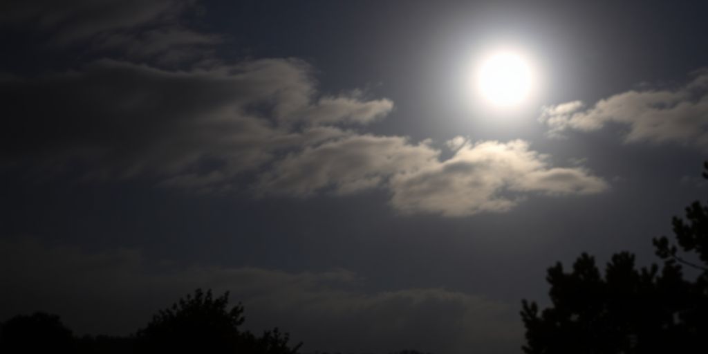 Zyklus-Synchronisation mit dem Mond: Mythos oder Wahrheit?